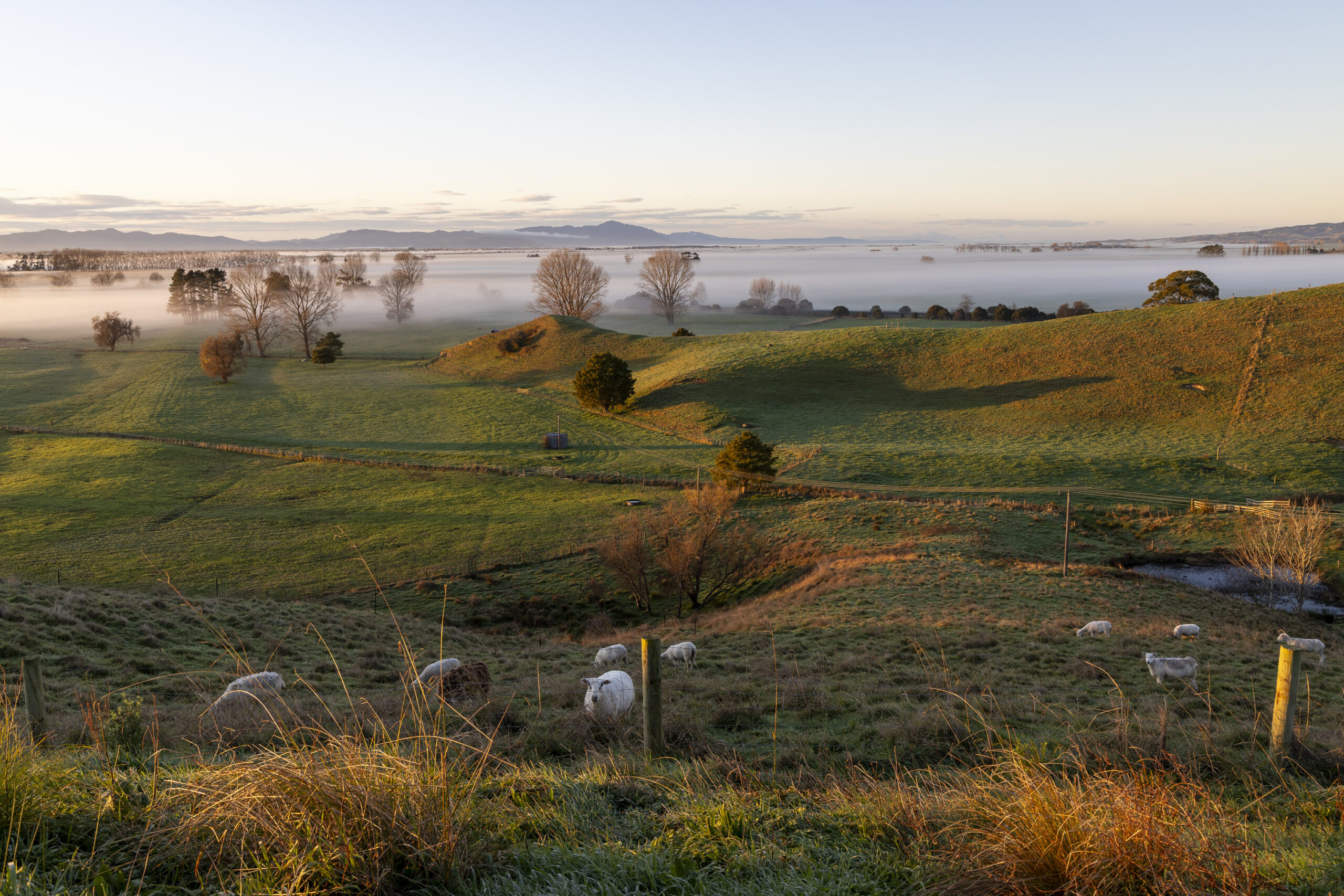 STUNNING RURAL LIFESTYLE