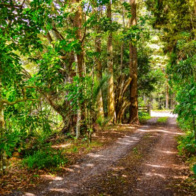 20250407_370-Hautapu-Rd_web-res-28.LR