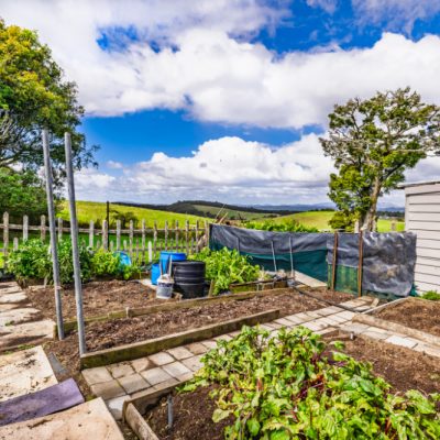 20250407_370-Hautapu-Rd_web-res-49.LR