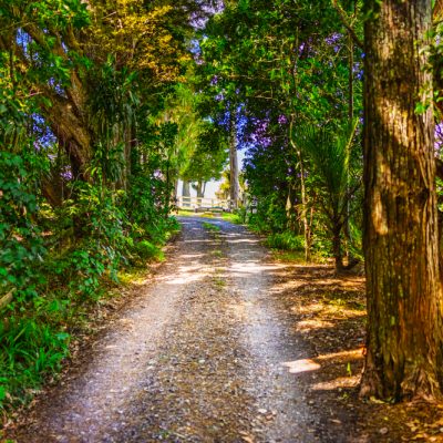 20250407_370-Hautapu-Rd_web-res-74.LR