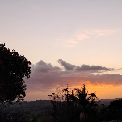 5ce3ca9f-3d65-4d2f-b569-a4498618305b