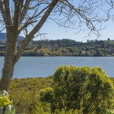 62a Levley Lane -27