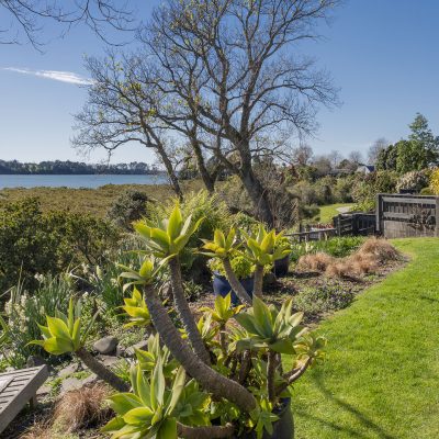62a Levley Lane -31