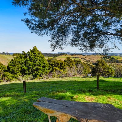 Pinehill45