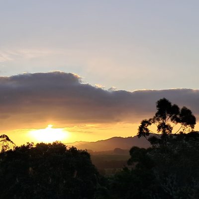 eefad4bf-d830-4b4e-b971-23724ada527d